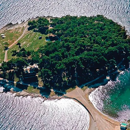 Biskupija Iii Lejlighed *